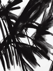 Abstract Amplitude